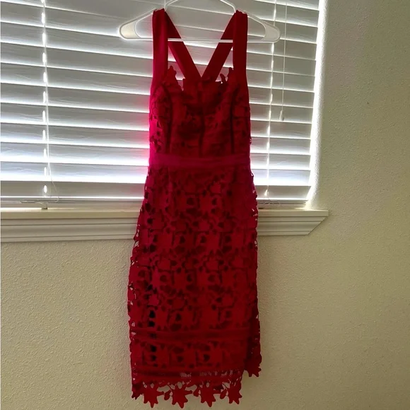 chinese dress ladies Anthropologie Eva Franco Baby Pink Completely Laser Cut Lace Palm Leaf –  The Thrifty Hippy